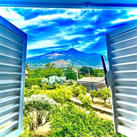 Linden House Etna Hotel Aci Sant'Antonio Exterior photo