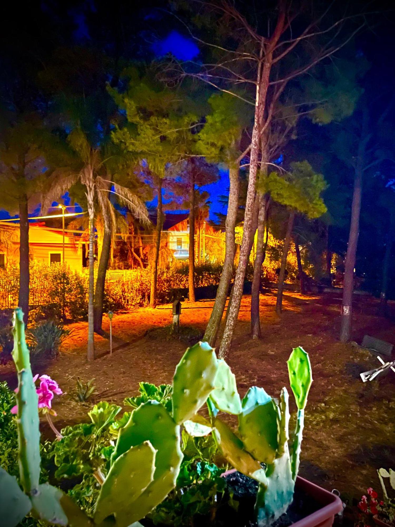 Linden House Etna Hotel Aci Sant'Antonio Exterior photo